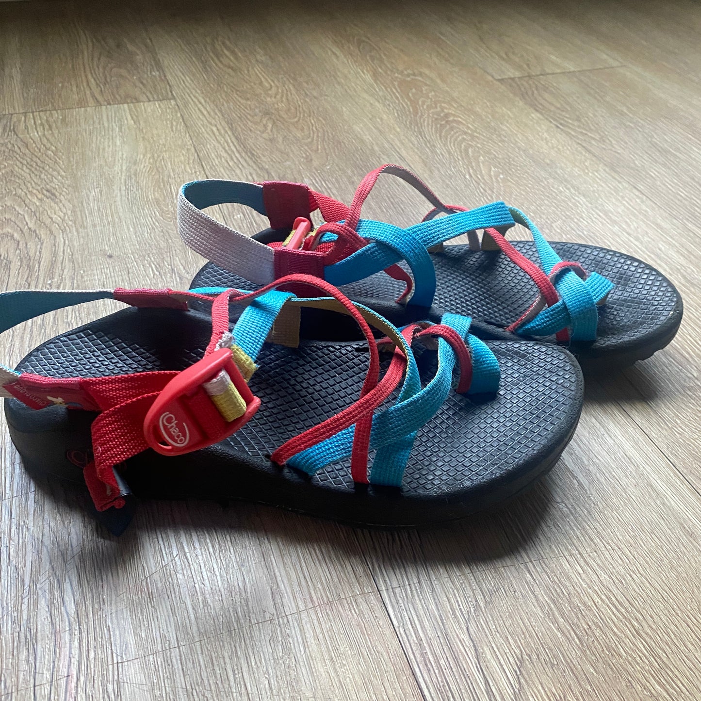 Woodstock Z Cloud Chacos